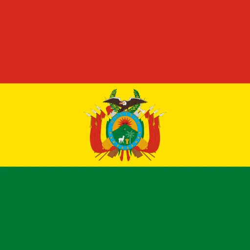 eSIM Bolivien – High-Speed-Daten mit SilentSim, kein Roaming, sofort aktivierbar