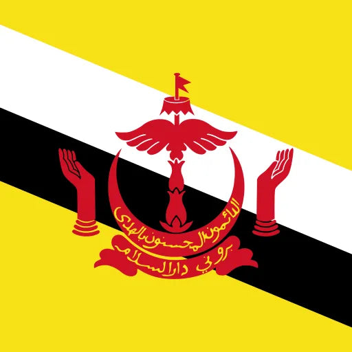 eSIM Brunei Darussalam – High-Speed-Daten mit SilentSim, kein Roaming, sofort aktivierbar